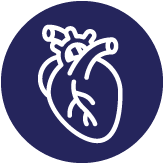 Icon Cardiovasc